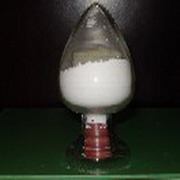 Clobetasol Propionate