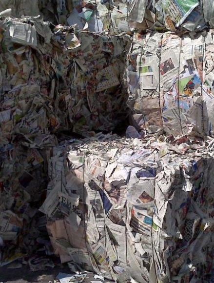 OINP Waste Paper