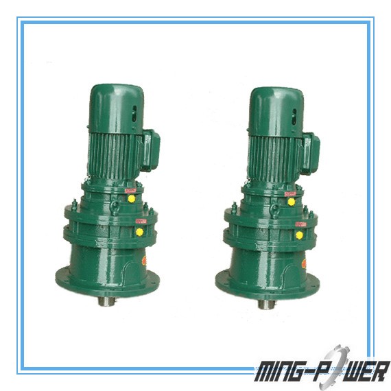 Vertical two stage cycloid speed reducer