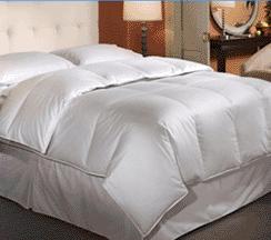 Down Duvets