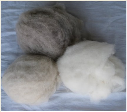 cashmere fibre