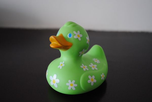 vinyl duck