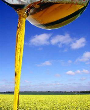 CRO - Crude Rapeseed Oil T2L , EU Origin cert.'s