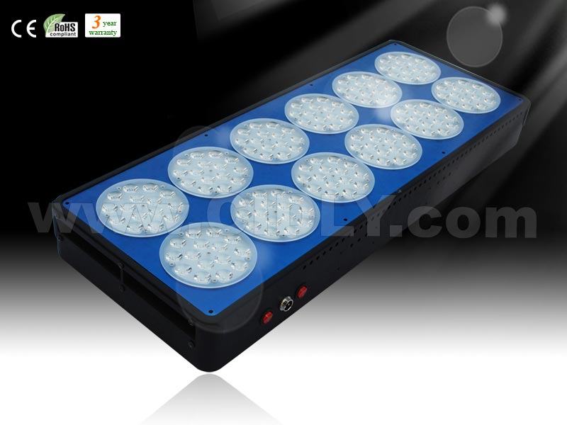 Apollo12 led grow light