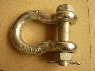 China Anchor Shackle;Screw Pin Anchor Shackle
