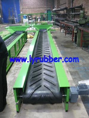 Pattern Conveyor Belt