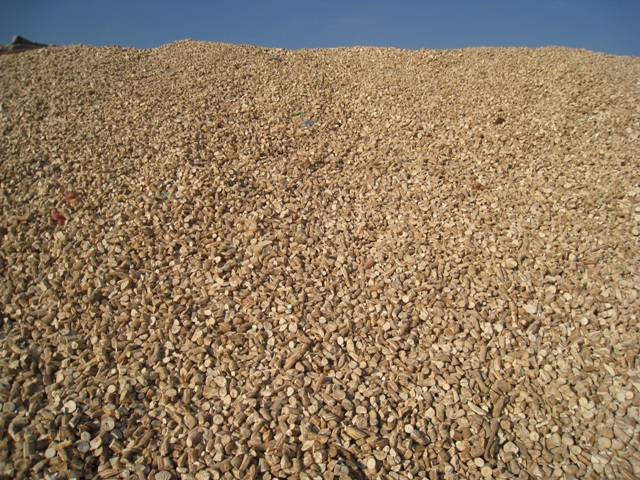TAPIOCA CHIP