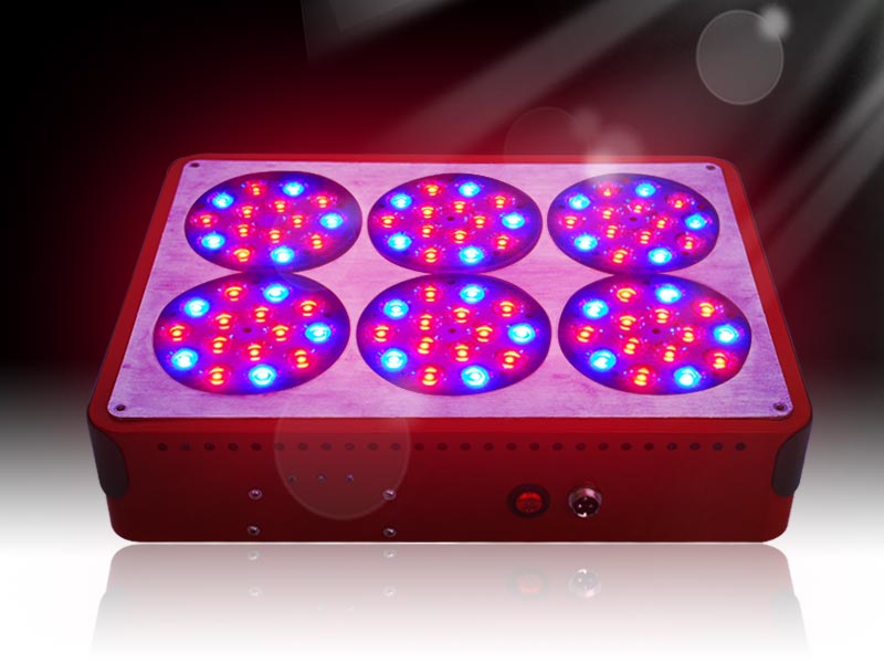 apollo6 led grow light