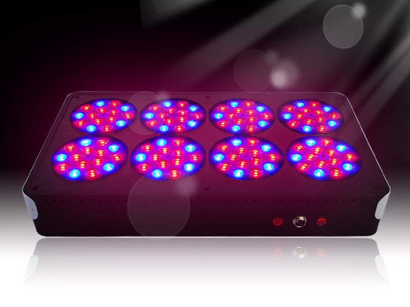 apollo8 led grow light