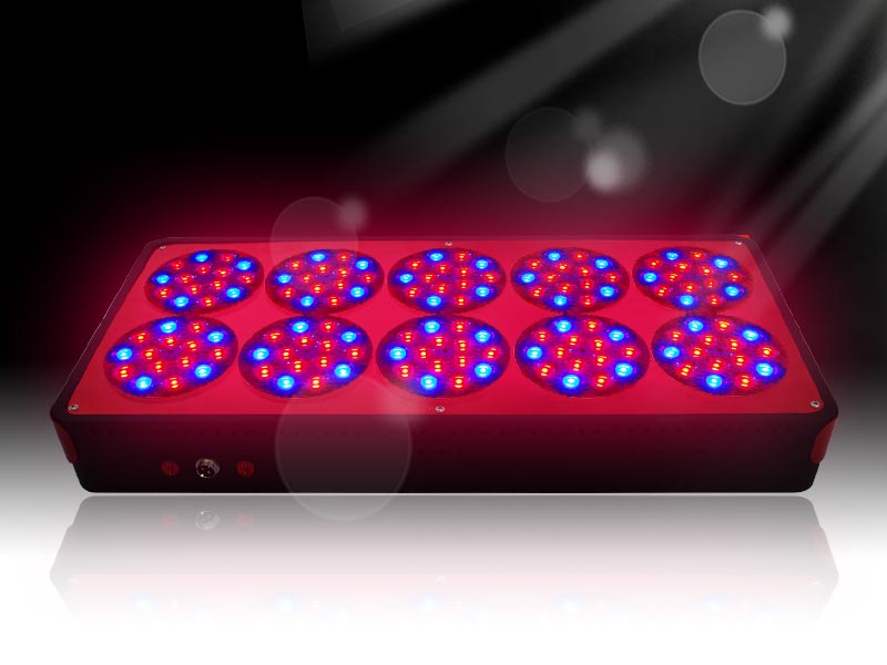 apollo10 led grow light