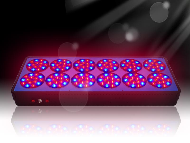 apollo12 led grow light