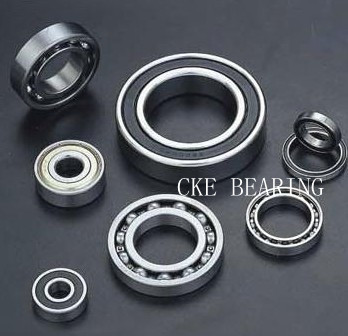 6300 Bearing