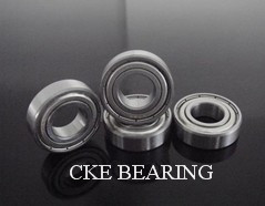 6000 Bearing