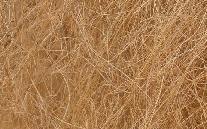 Coconut Coir Fiber