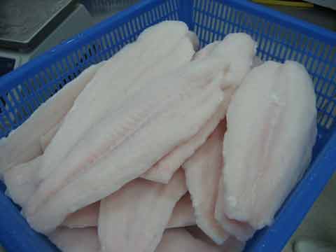 Pangasius Fillet, White Meat, Well-trimmed