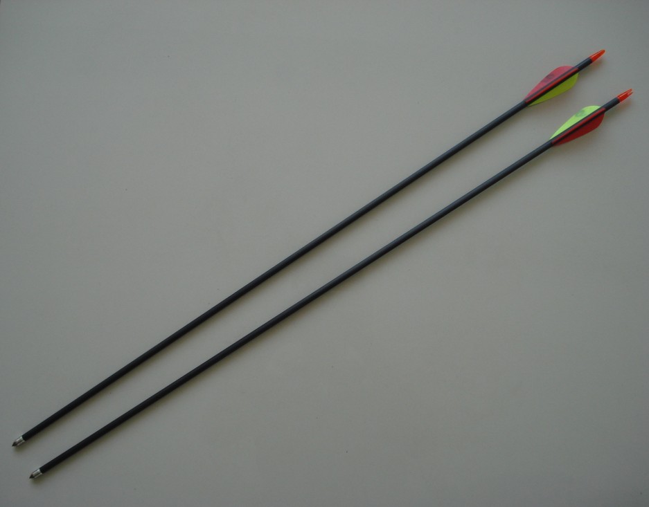 Competitive Arrow