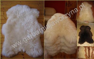 Sheep skins