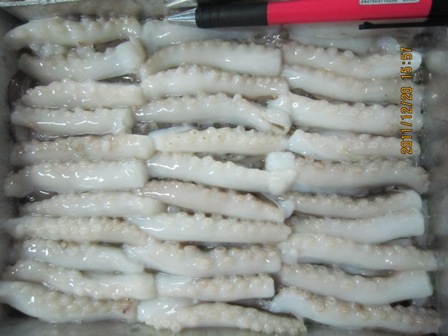 Frozen Cut Poulp Squid