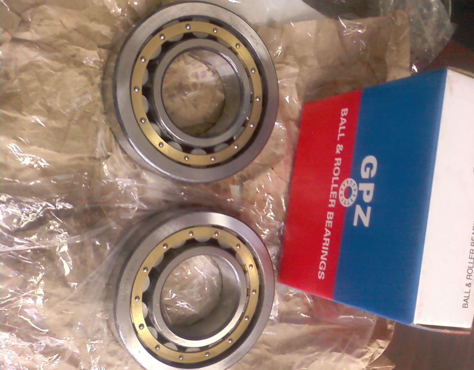 cylindrical roller bearing GPZ