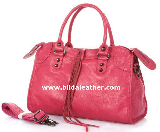 Fashion Ladies Handbags Styles