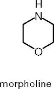 Morpholine