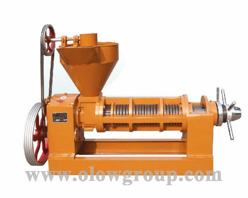 Screw Oil Press