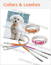 DOG COLLAR & LEASH