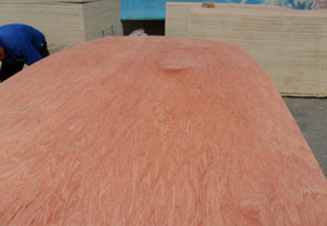 BINTANGOR PLYWOOD SHEET BOARD