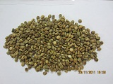 Vietnam coffee bean quotation