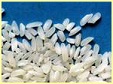 Vietnam rice quotation