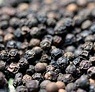 Vietnam black pepper quotation