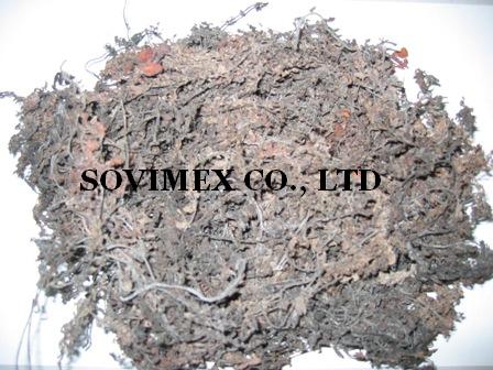 Raw sargassum seaweed, sales10ATsovimexcoDOTcom