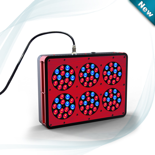 Apollo-6 LED Light