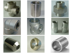 sw npt threaded fittings