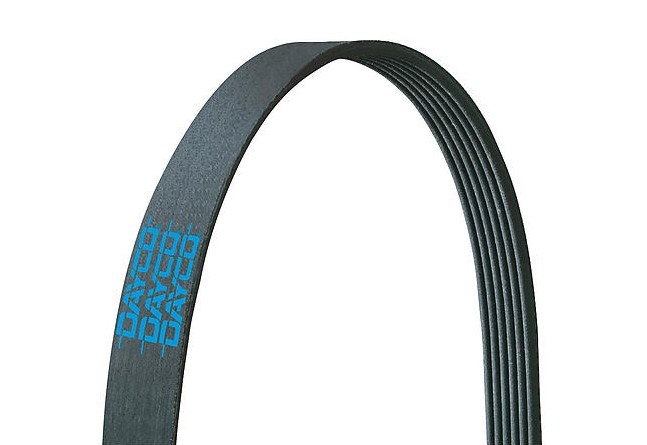 dayco ribed belt