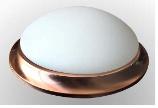 LED 14W Celing Light