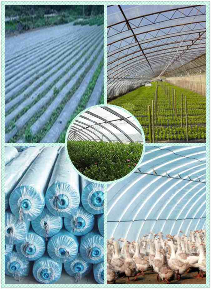 EVOH FILM, EVA FILM, PE FILM, PO FILM ,LDPE FILM,