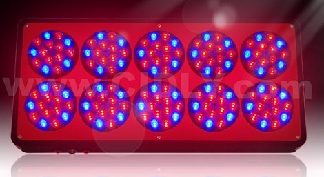 Apollo 10 LED Grow Lights