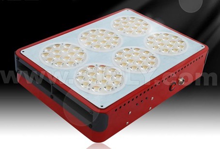 Apollo 6 LED Garden Light