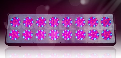 Apollo 16 LED Grow Lights