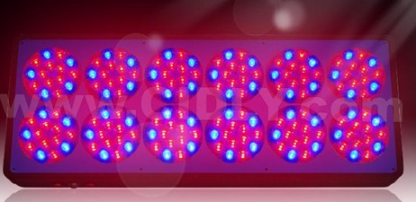 Apollo 12 LED grow light: