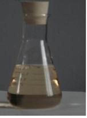 Polyacrylic Acid (PAA)