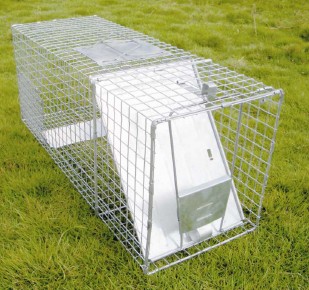 Cage Trap