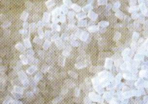 Nylon|PA6|Fiber|Caprolactam