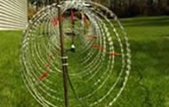 Electrified Concertina Wire