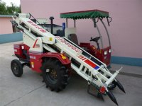 4H B-2A Peanut Combine Harvester