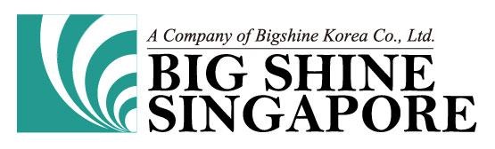 Projector lamp Bigshine Singapore