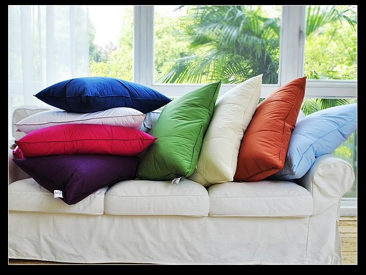 down cushion