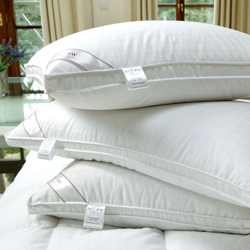 goose down pillow