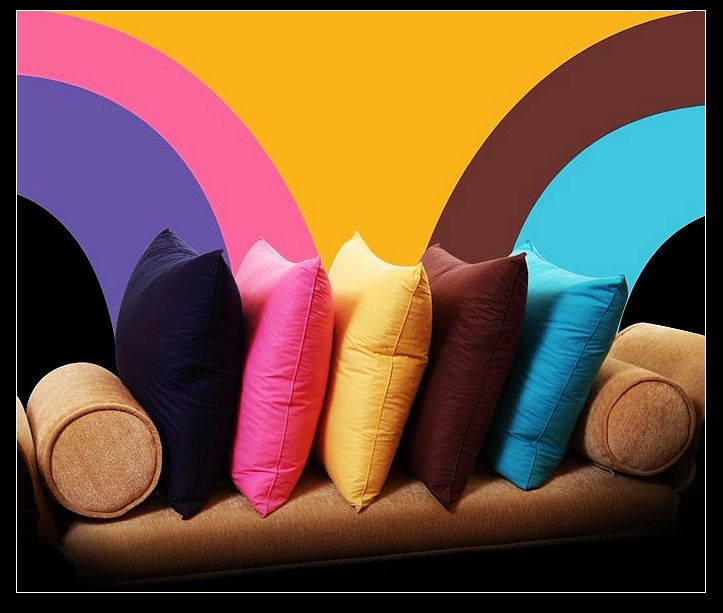 goose cushion